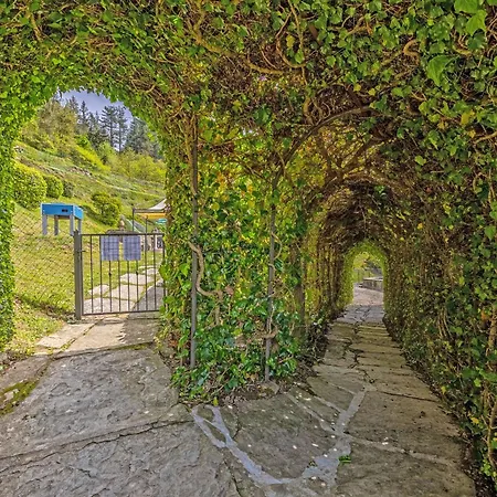 Villa La Rosa *